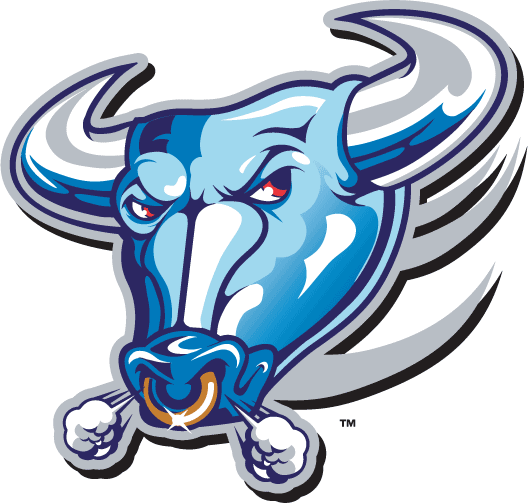 Buffalo Bulls 1997-2006 Alternate Logo diy DTF decal sticker